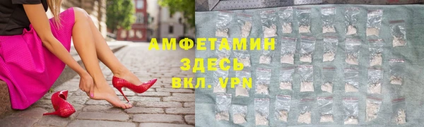 ешки Алексин