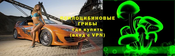 винт Абаза