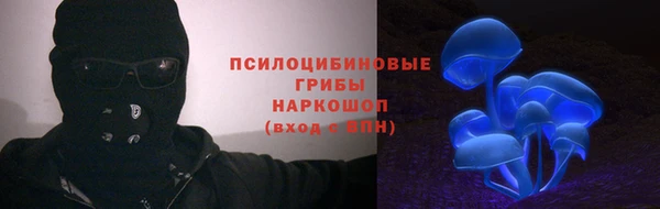 винт Абаза