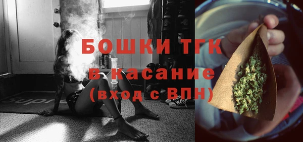 винт Абаза