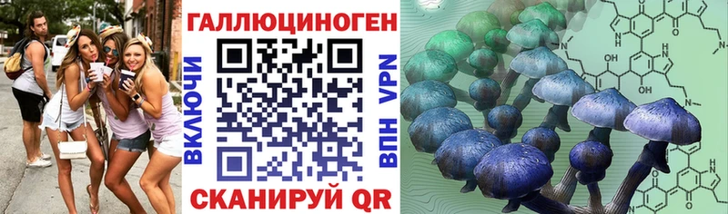 Псилоцибиновые грибы мухоморы  дарк нет наркотические препараты  omg как войти  Костерёво  как найти  